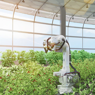 艾綠集團 引領(lǐng)花卉產(chǎn)業(yè)創(chuàng)新與綠色發(fā)展的領(lǐng)軍者