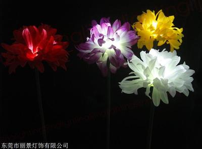 綻放城市夜景 新款創(chuàng)意菊花燈的多維魅力