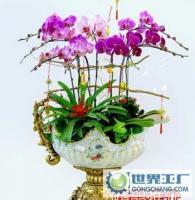 杭州花卉盆景植物租賃租擺服務(wù)，世界工廠網(wǎng)供應(yīng)信息