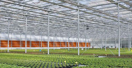 養(yǎng)花這件小事兒背后的「大邏輯」