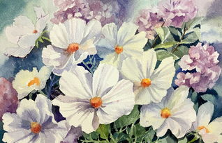 花卉——裝點(diǎn)生活與心靈的自然詩篇